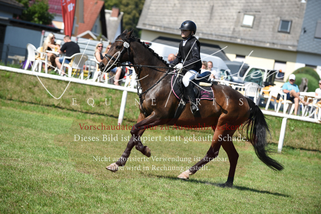DSC_9361 | Pferde- und Turnierfotografie in Westsachsen. Pferdeportraits, Auftragszeichnungen und intuitive Kunst.