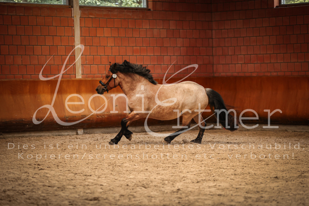 SaFL00363 | Leoni Ertmer Photography - Realisiert mit Pictrs.com