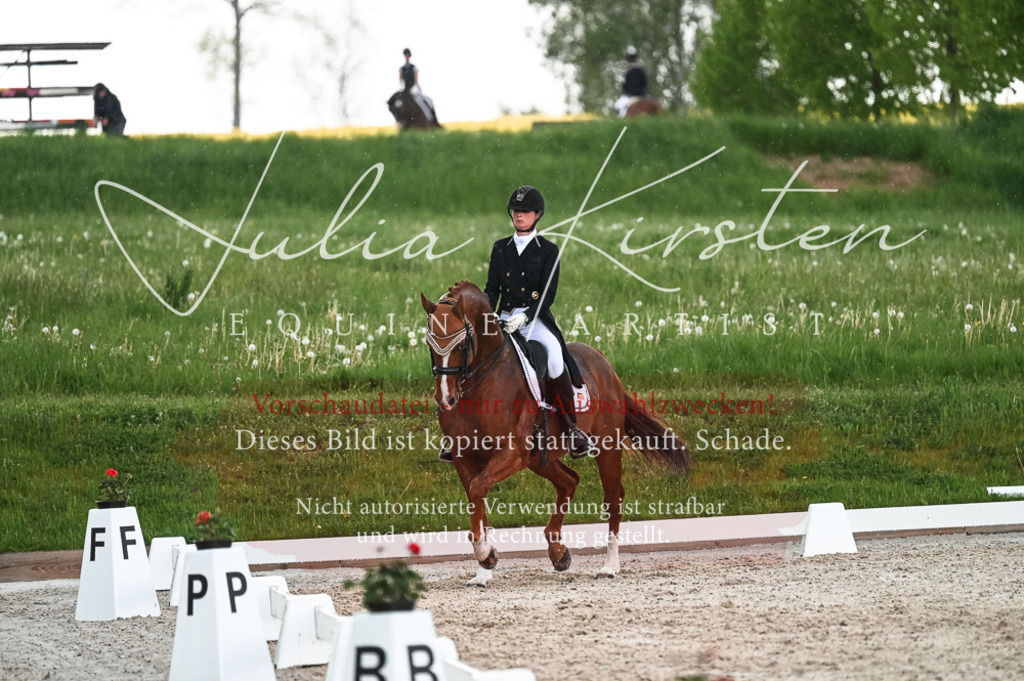 20230514_JK-Röhrsdorf-21-579 | Pferde- und Turnierfotografie in Westsachsen. Pferdeportraits, Auftragszeichnungen und intuitive Kunst.
