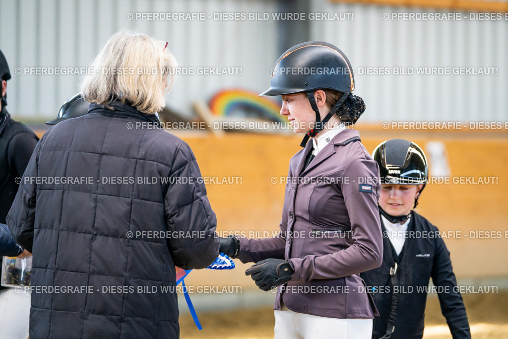 DSC01362 | Pferdegrafie