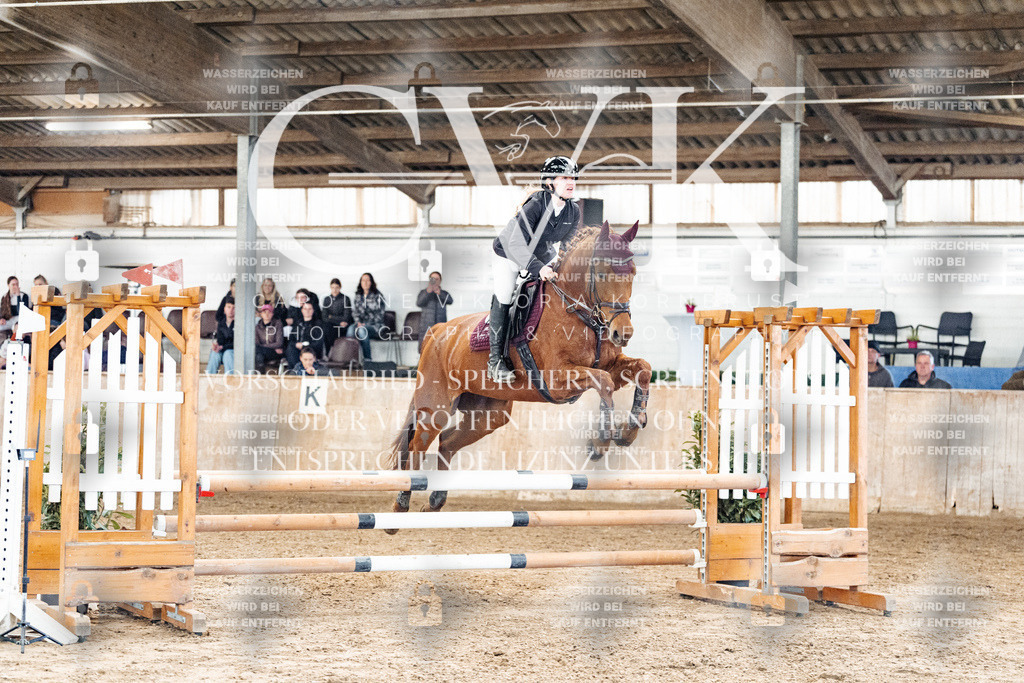 CK904735 | Turnierfotografie Pferdefotografie Trier Rheinland-Pfalz Pferdesport Reitsport Tierfotografie Sportfotografie Pferdevideo Pferdevideografie Equestrianvideography equestrianphotography  - Realisiert mit Pictrs.com