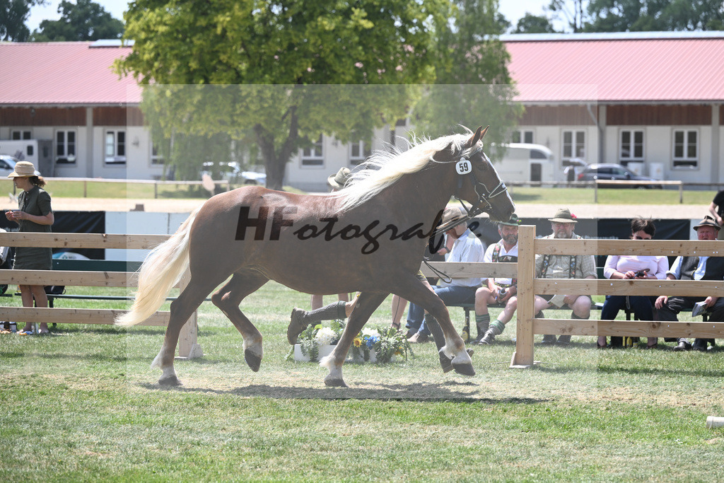 Kat-Nr. 59 Pamina_Mayr_20230974 | hf-fotografie - Realisiert mit Pictrs.com