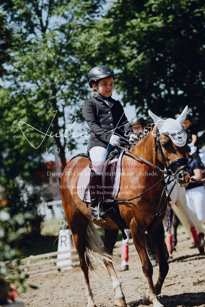 DSC_2511 | Pferde- und Turnierfotografie in Westsachsen. Pferdeportraits, Auftragszeichnungen und intuitive Kunst.