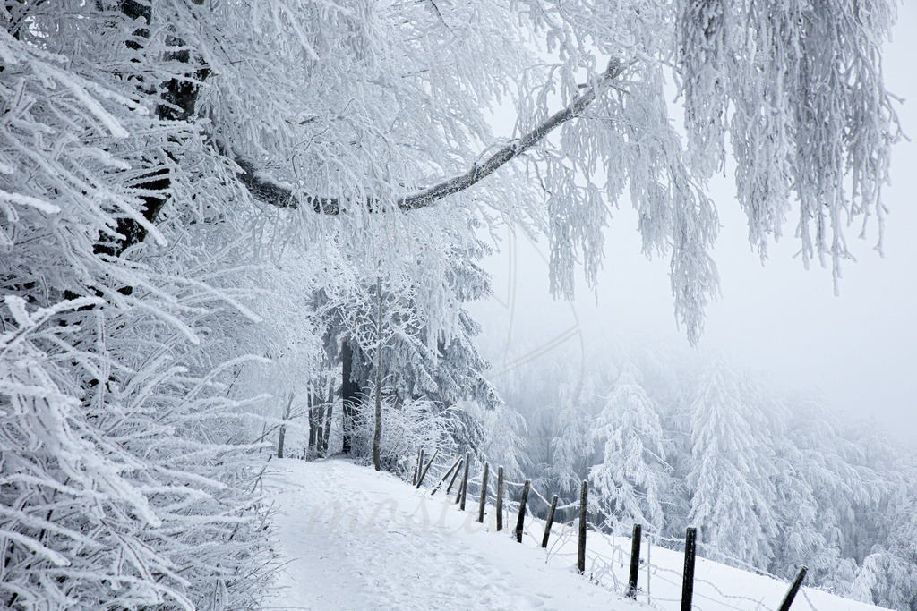 Winterspaziergang im Mostviertel | Ihre Fotografin im Lungau, ihre Fotografin im Mostviertel, Wandbilder Onlineshop, Imagefotos für Ihr Unternehmen,  - Realisiert mit Pictrs.com