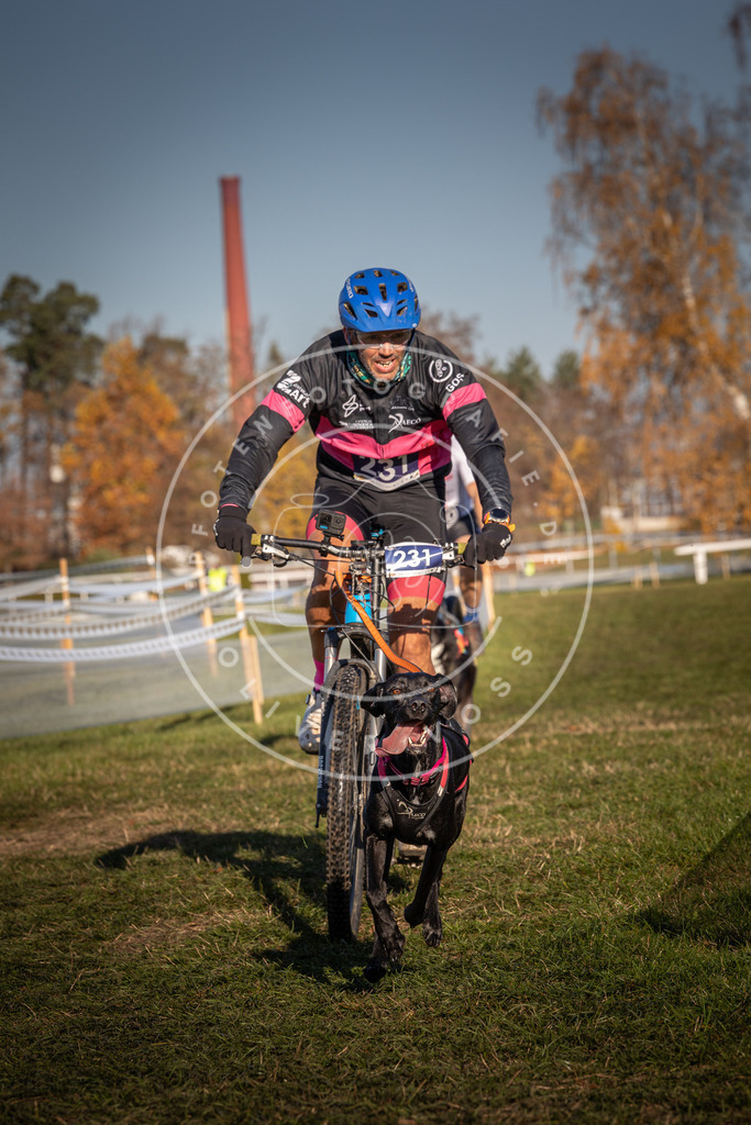 CaniXpix_0L8A4733 | Hundefotografie, Tierfotograf, Pfotenfotografie, Fotoshooting Hund, Hunde Portrait, Hundesport, Hundeportraits, Heideshooting, Hunde, Sportfotograf, Hundefotograf, Turnierhundsport, THS,  - Realisiert mit Pictrs.com