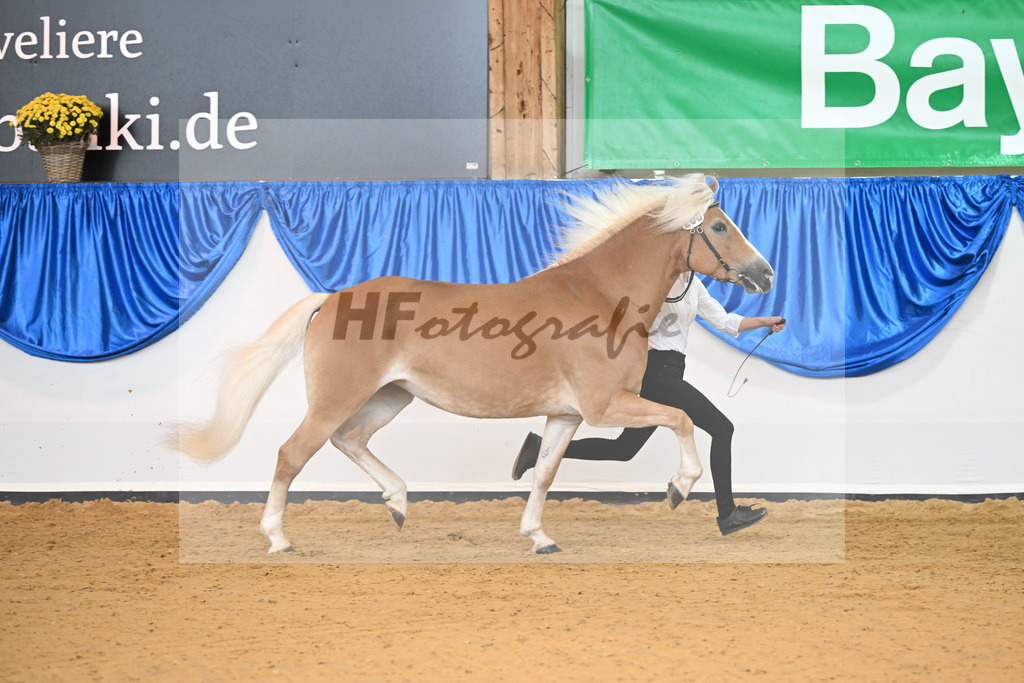Kat-Nr. 260 Okara_Kargel_54223159 | hf-fotografie - Realisiert mit Pictrs.com