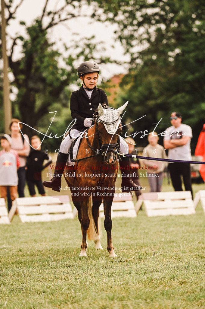 DSC_5223 | Pferde- und Turnierfotografie in Westsachsen. Pferdeportraits, Auftragszeichnungen und intuitive Kunst.