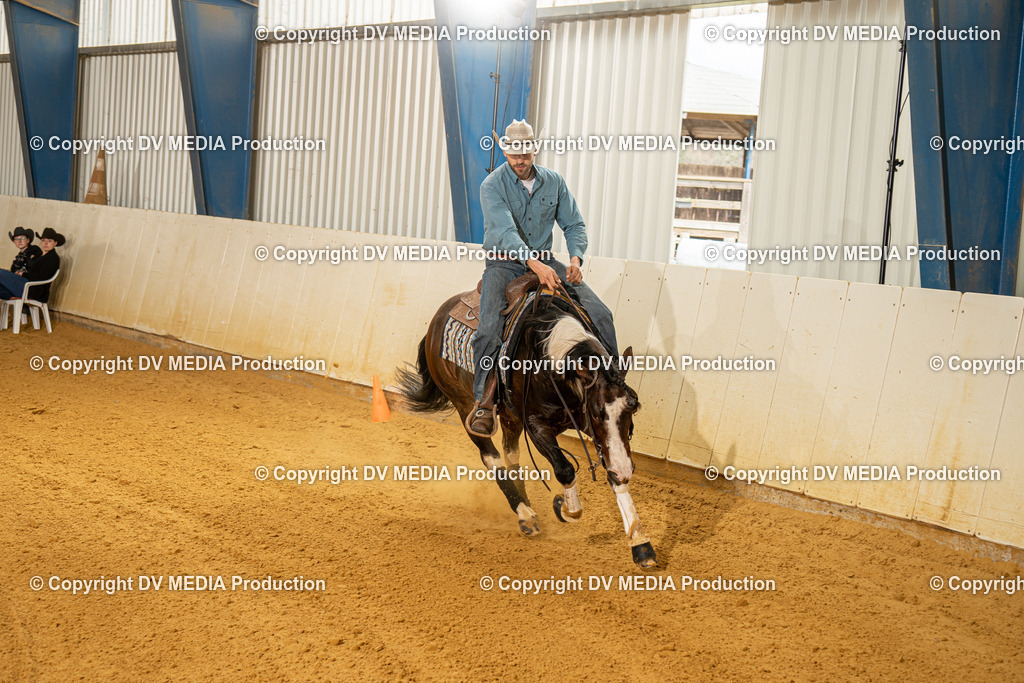 MIT01290 | dv-media-shop - Realisiert mit Pictrs.com