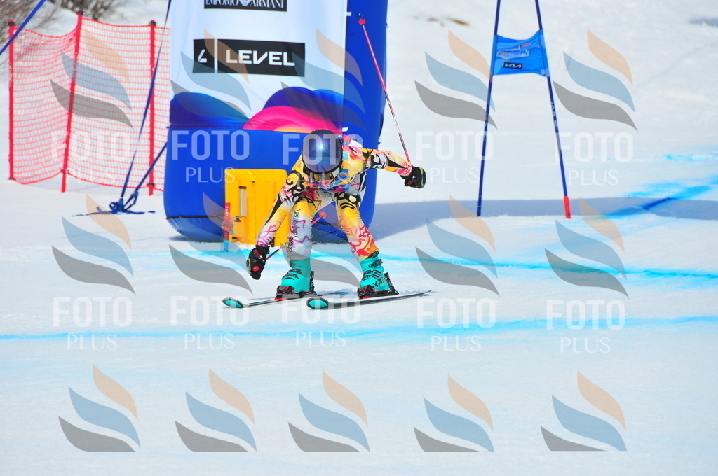 DSC_5715 | holidayphoto