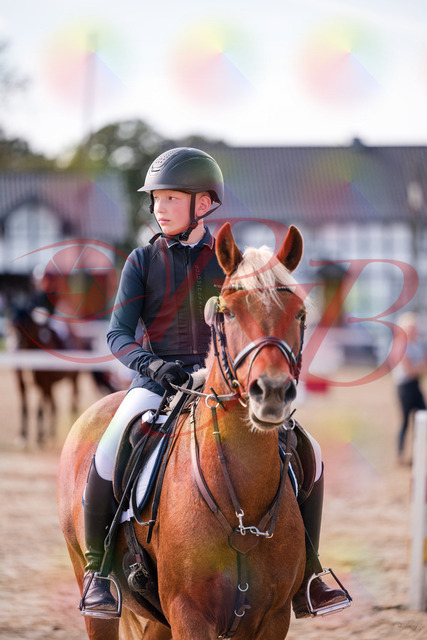 2026_10_03_Siefer-Hof_144542_Z81_21644241 | Professionelle Reitsport-, Turnier- und Eventfotografie von Robert Broda. Galerien mit ausgewählten und bearbeiteten Bildern direkt online ansehen und bestellen.
