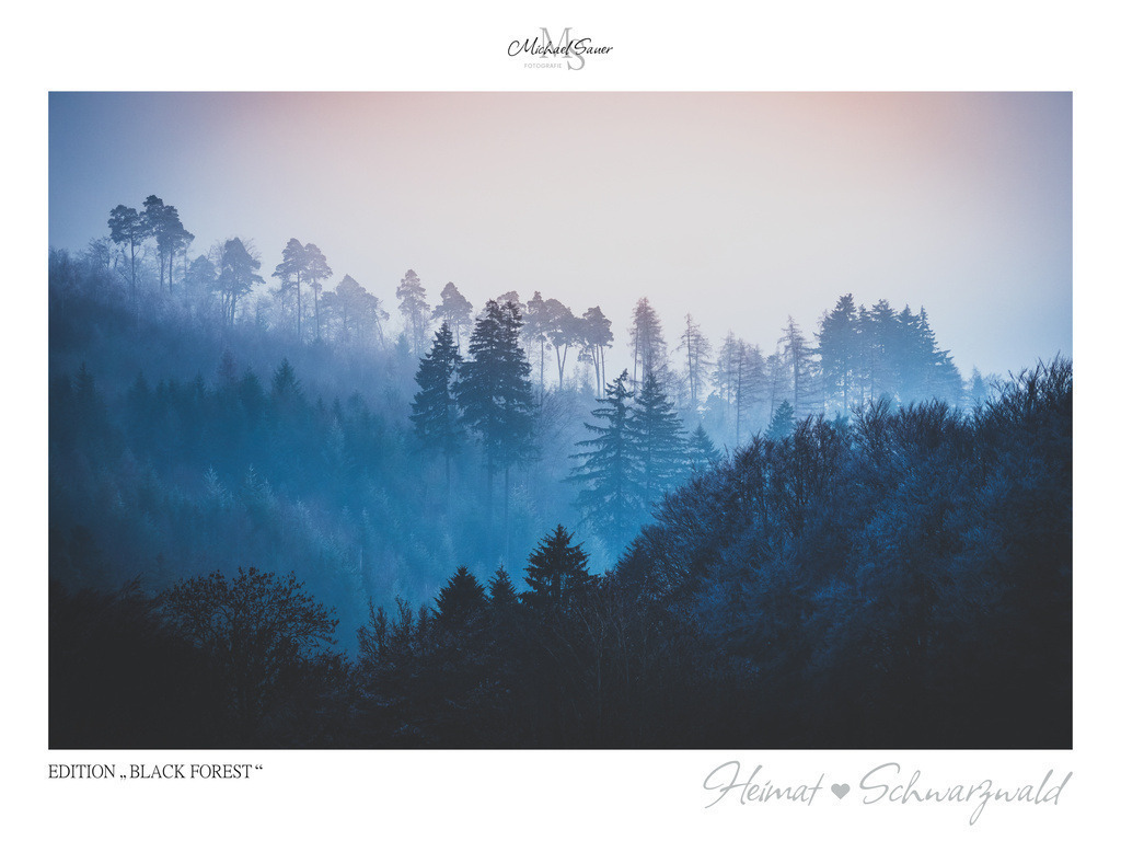 Edition "BLACK FOREST" | Motiv: Nebelverhangener Herbstwald. Die beliebtesten Fotografien aus dem Schwarzwald als signierte Sonderedition. Eine exklusive Wanddekoration für alle Liebhaber von traumhaften Schwarzwaldlandschaften. Hochwertige Wandbilder in brillanter Druckqualität auf Acrylglas, Alu-Dibond und Leinwand für Ihr Zuhause – inklusive rückseitige Aufhängung.
 - Realisiert mit Pictrs.com