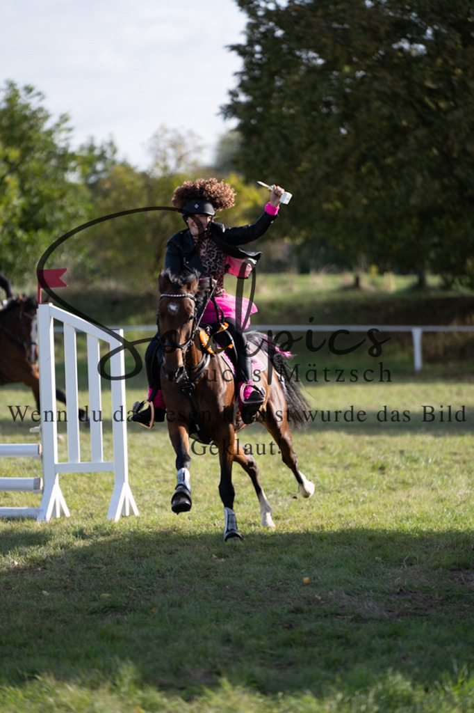 A7V06602 | Pferdefotograf