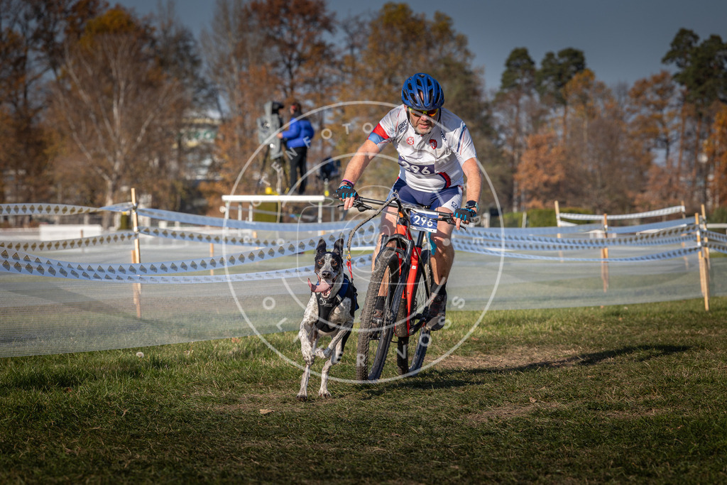 CaniXpix_0L8A7498 | Hundefotografie, Tierfotograf, Pfotenfotografie, Fotoshooting Hund, Hunde Portrait, Hundesport, Hundeportraits, Heideshooting, Hunde, Sportfotograf, Hundefotograf, Turnierhundsport, THS,  - Realisiert mit Pictrs.com
