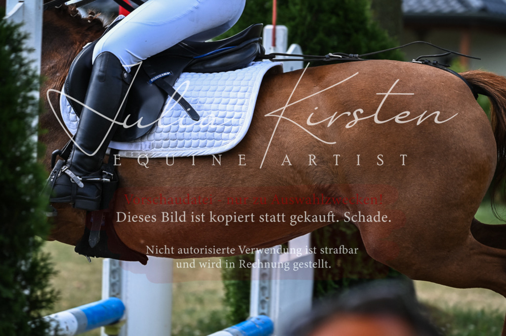 DSC_8585 | Pferde- und Turnierfotografie in Westsachsen. Pferdeportraits, Auftragszeichnungen und intuitive Kunst.