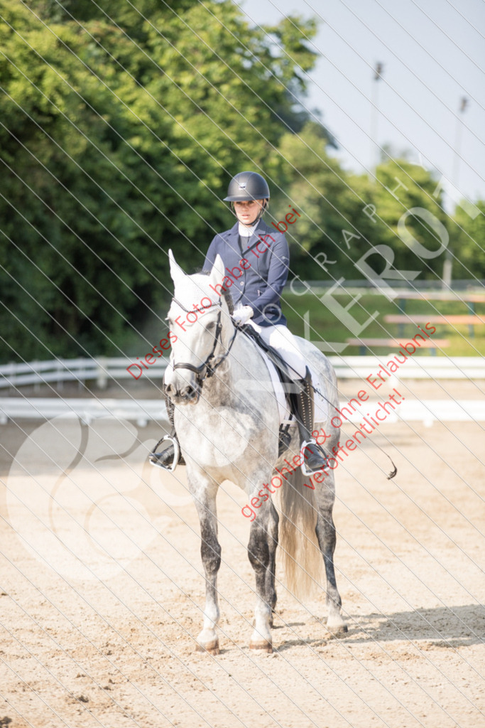 IMG_1997 | Sport-, Event- und Tierfotos in Profiqualität. Einfach auswählen, bestellen und herunterladen. Dein Moment – perfekt festgehalten.