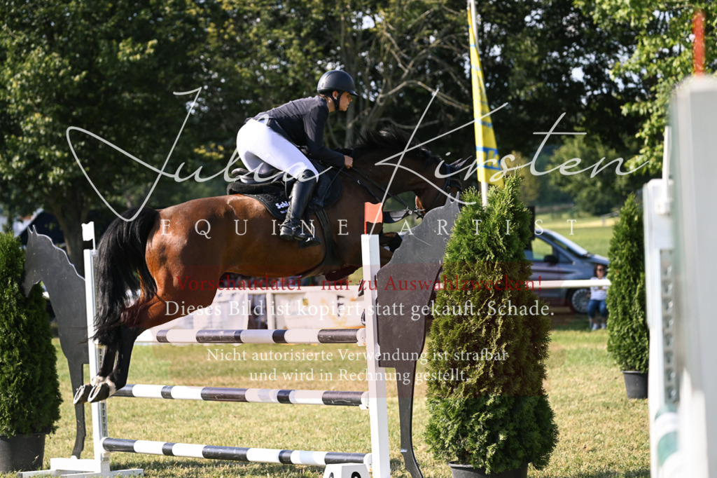 DSC_1452 | Pferde- und Turnierfotografie in Westsachsen. Pferdeportraits, Auftragszeichnungen und intuitive Kunst.