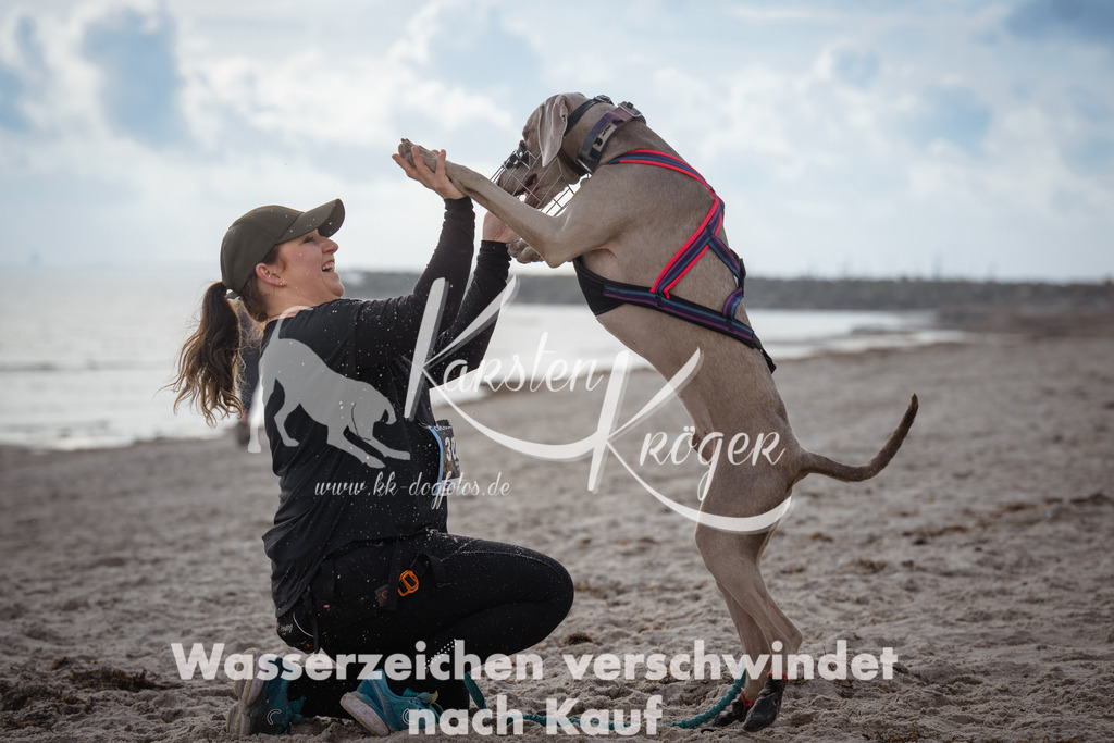 1225_ZZ96562 | kk-dogfotos