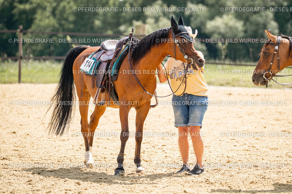 DSC00833 | Pferdegrafie