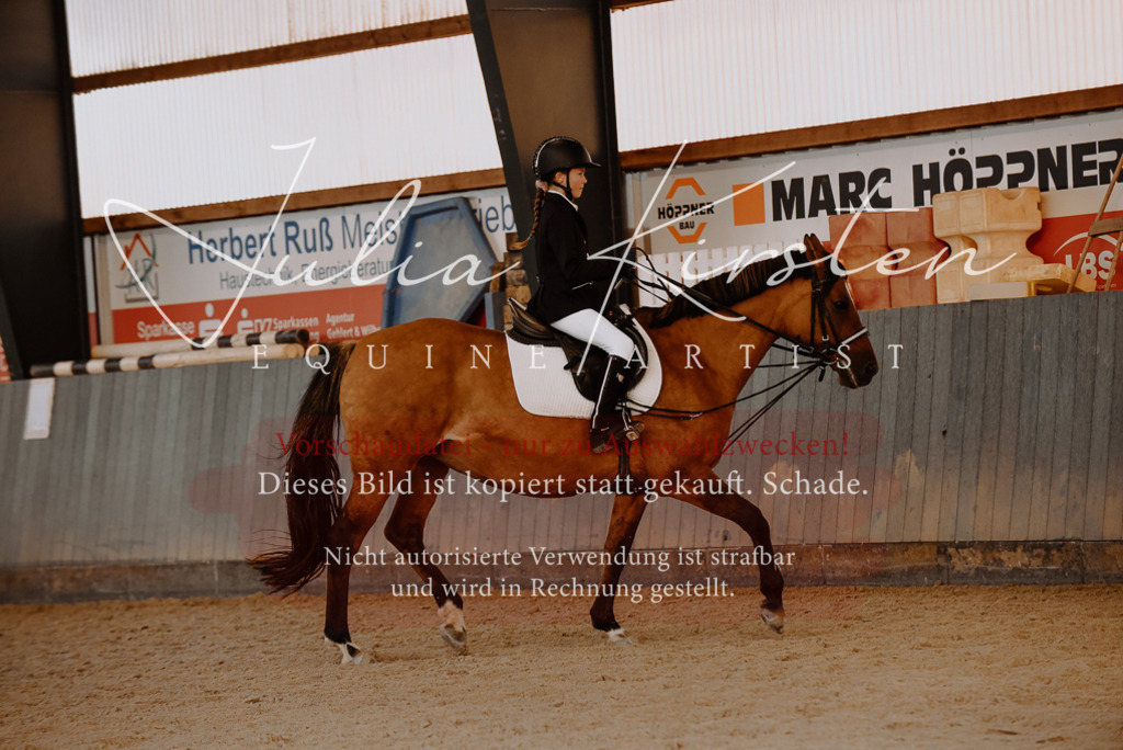 DSC_7563 | Pferde- und Turnierfotografie in Westsachsen. Pferdeportraits, Auftragszeichnungen und intuitive Kunst.