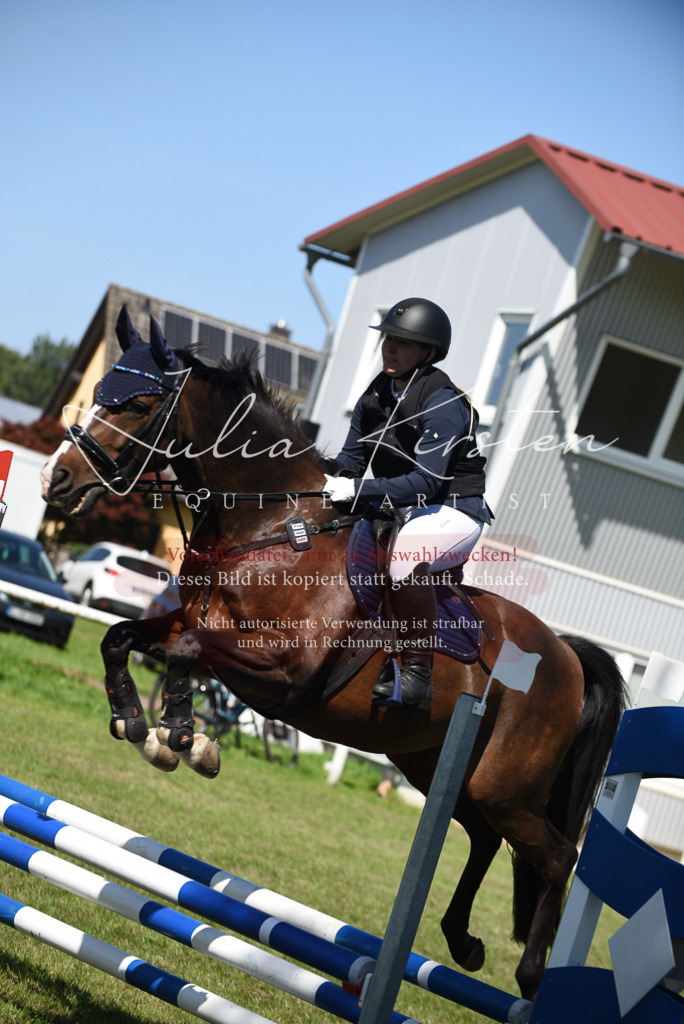DSC_9393 | Pferde- und Turnierfotografie in Westsachsen. Pferdeportraits, Auftragszeichnungen und intuitive Kunst.