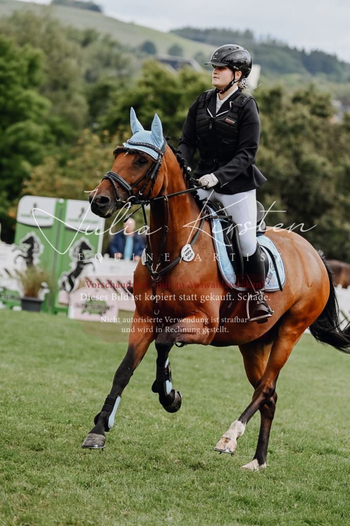 DSC_6830 | Pferde- und Turnierfotografie in Westsachsen. Pferdeportraits, Auftragszeichnungen und intuitive Kunst.