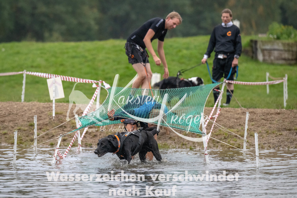 0815_ZZ90537 | kk-dogfotos