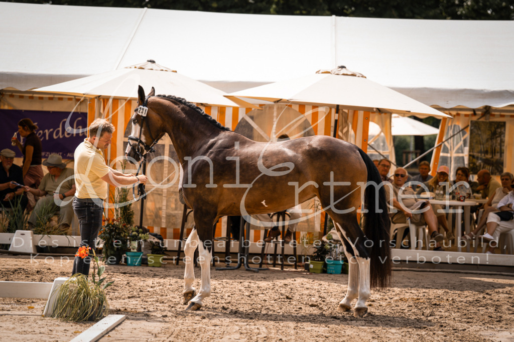 2. Fr00154 | Leoni Ertmer Photography - Realisiert mit Pictrs.com