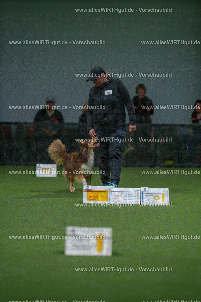 7R507243 | Professionelle Tierfotografie in Mönchengladbach von Daniel Wirth (allesWIRTHgut). Liebevolle & natürliche Bilder von Hunden & Katzen für unvergessliche Erinnerungen.