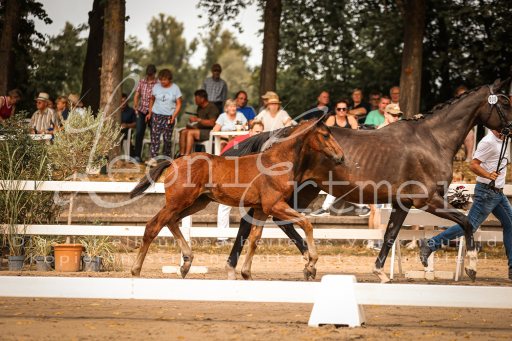 SaPA00113 | Leoni Ertmer Photography - Realisiert mit Pictrs.com
