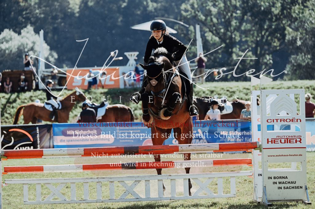 DSC_5632 | Pferde- und Turnierfotografie in Westsachsen. Pferdeportraits, Auftragszeichnungen und intuitive Kunst.