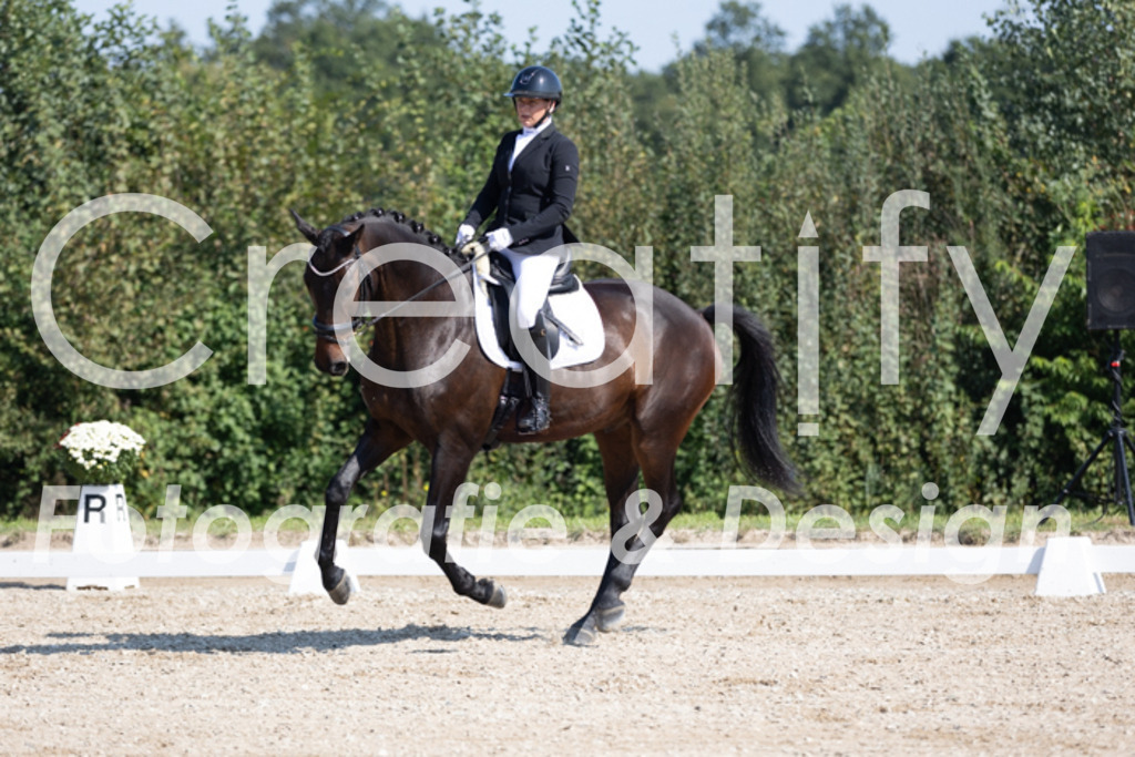 IMG_5161 | Creatify Fotografie