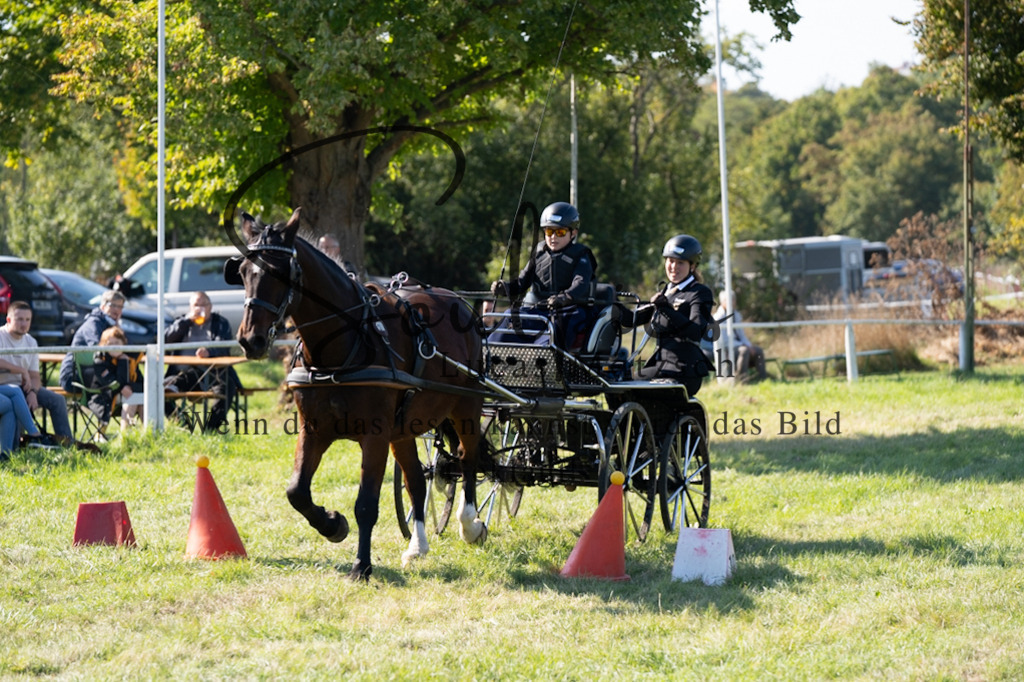 A7V04348 | Pferdefotograf