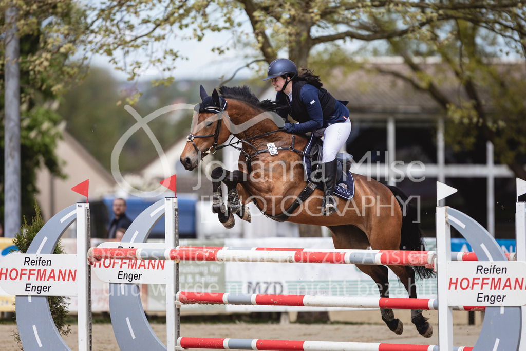 240428_Spenge_M2-Spr-162 | Deine schönsten Turniermomente als professionelle Fotos! Entdecke hochwertige Pferdesport-Fotografie im Online-Shop. Jetzt Fotos finden & bestellen!