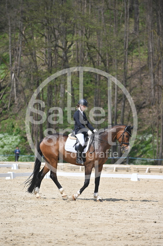 DSC_2350 | sattelsport - Realisiert mit Pictrs.com