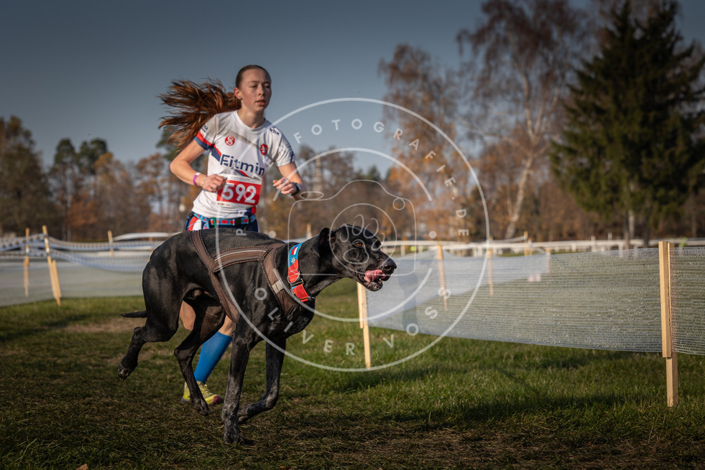 CaniXpix_0L8A9794 | Hundefotografie, Tierfotograf, Pfotenfotografie, Fotoshooting Hund, Hunde Portrait, Hundesport, Hundeportraits, Heideshooting, Hunde, Sportfotograf, Hundefotograf, Turnierhundsport, THS,  - Realisiert mit Pictrs.com