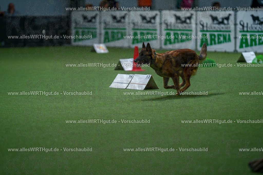 7R500933 | Professionelle Tierfotografie in Mönchengladbach von Daniel Wirth (allesWIRTHgut). Liebevolle & natürliche Bilder von Hunden & Katzen für unvergessliche Erinnerungen.