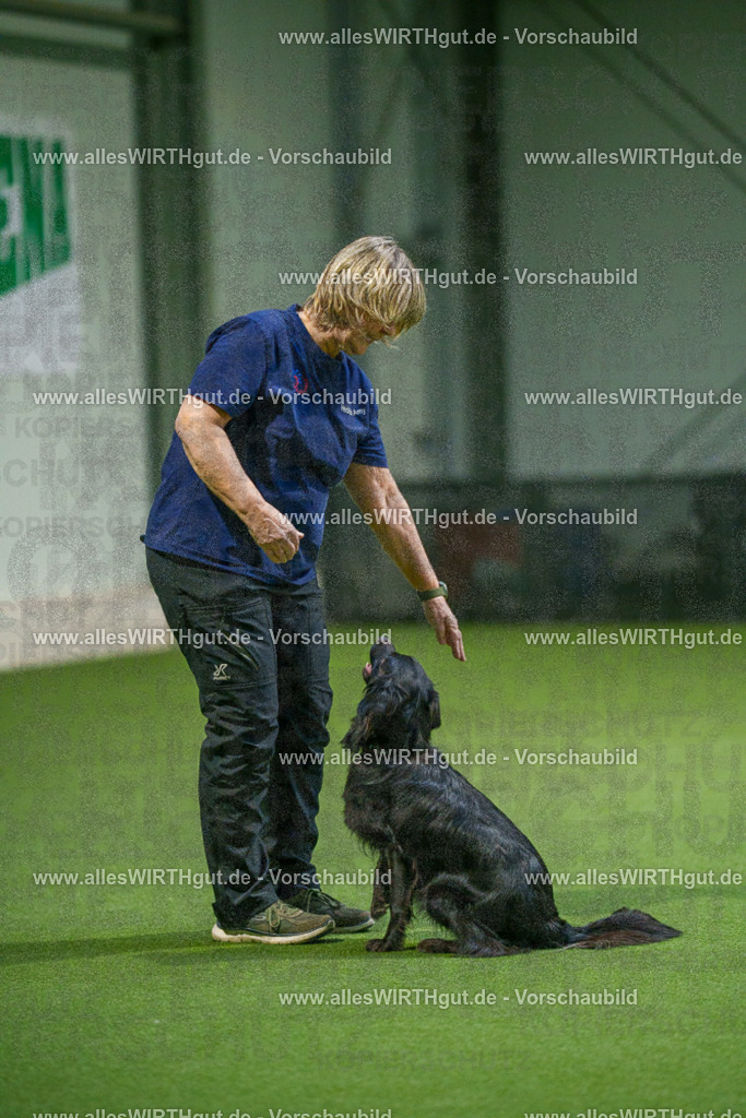 7R500018 | Professionelle Tierfotografie in Mönchengladbach von Daniel Wirth (allesWIRTHgut). Liebevolle & natürliche Bilder von Hunden & Katzen für unvergessliche Erinnerungen.
