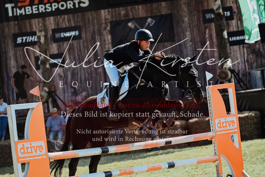 DSC_5739 | Pferde- und Turnierfotografie in Westsachsen. Pferdeportraits, Auftragszeichnungen und intuitive Kunst.