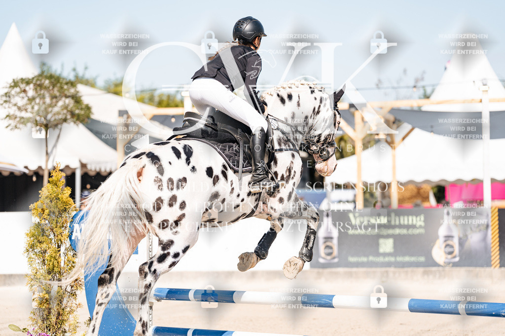CK905009 | Turnierfotografie Pferdefotografie Trier Rheinland-Pfalz Pferdesport Reitsport Tierfotografie Sportfotografie Pferdevideo Pferdevideografie Equestrianvideography equestrianphotography  - Realisiert mit Pictrs.com