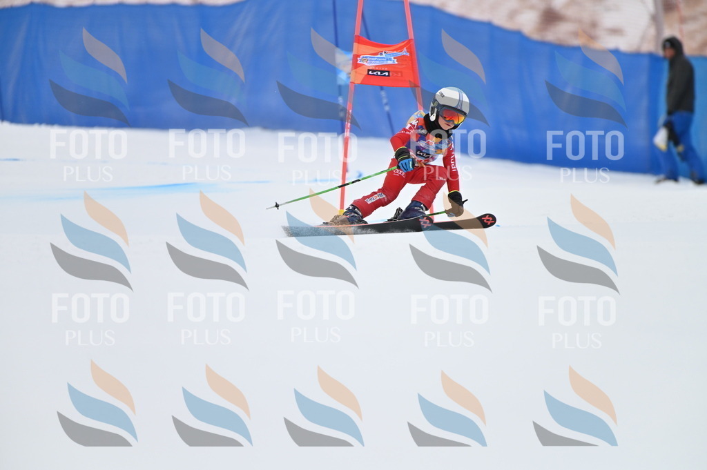 BGV_2838 | holidayphoto