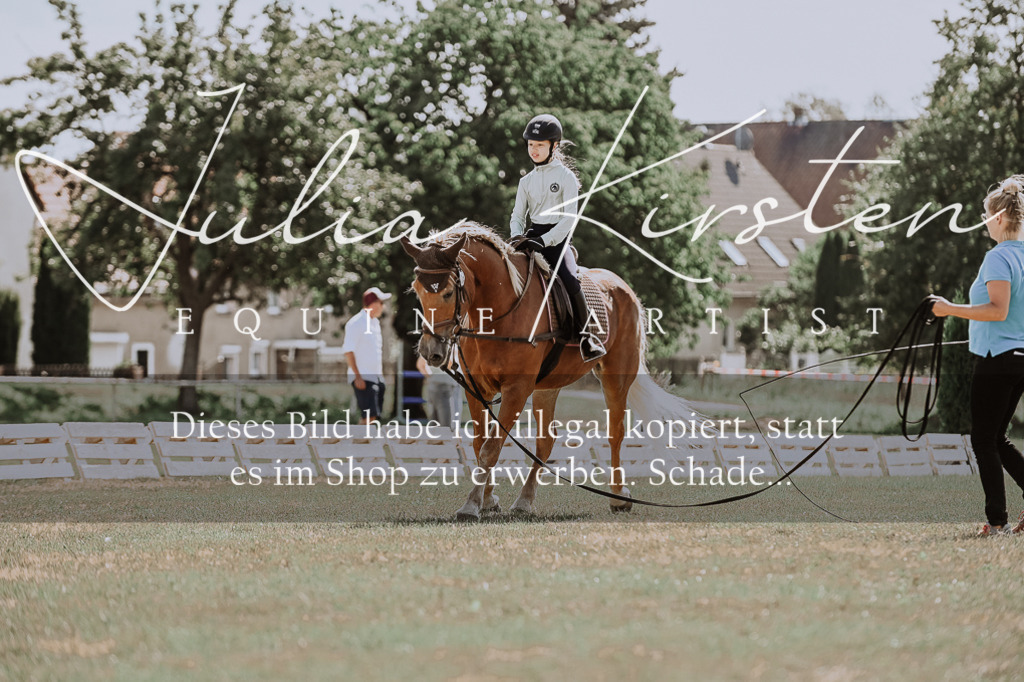 DSC_7559 | Pferde- und Turnierfotografie in Westsachsen. Pferdeportraits, Auftragszeichnungen und intuitive Kunst.