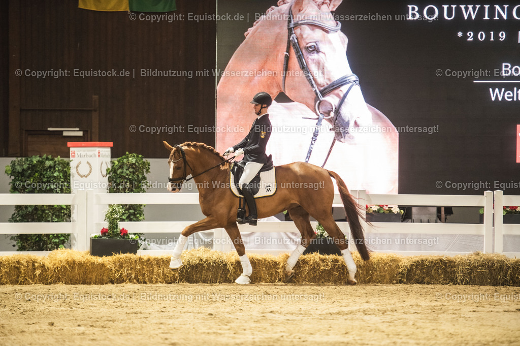 20240302_Hengstvorstellung_Marbach_TOMsPiC_0517 | equistock