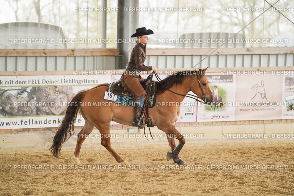 DSC04677 | Pferdegrafie