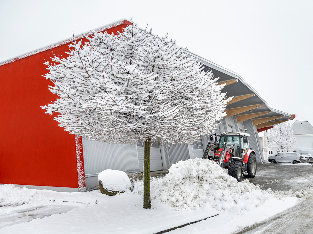 _ 3382_WINTER26_7962 | WInteraufnahmen Loosdorf 2026