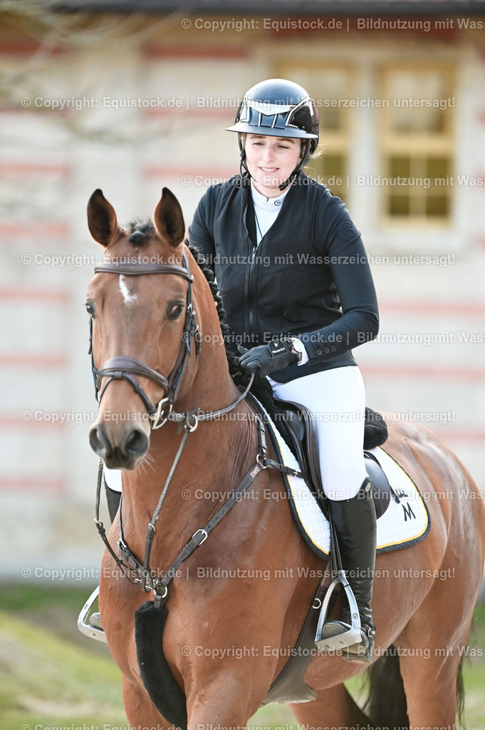 20260307_Hengstvorstellung-Marbach_0038 | equistock