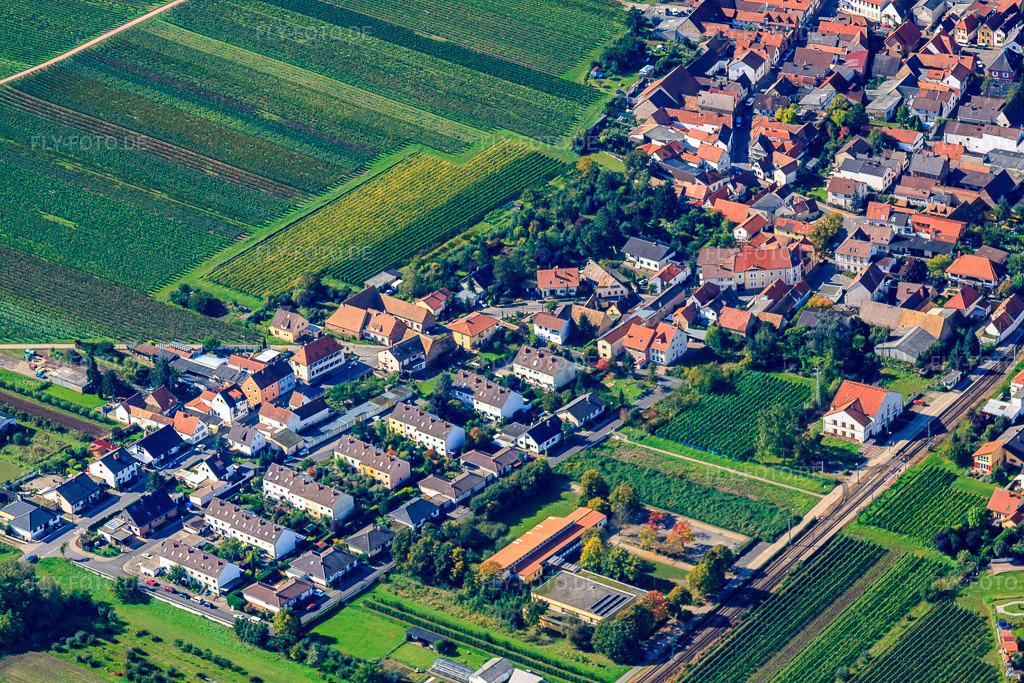 Luftbild: Jahnring in Ellerstadt im Bundesland Rheinland-Pfalz in Deutschland. Foto: IMG_34444.jpg vom 03.10.2010 durch Werner Riehm/FLY-FOTO.de