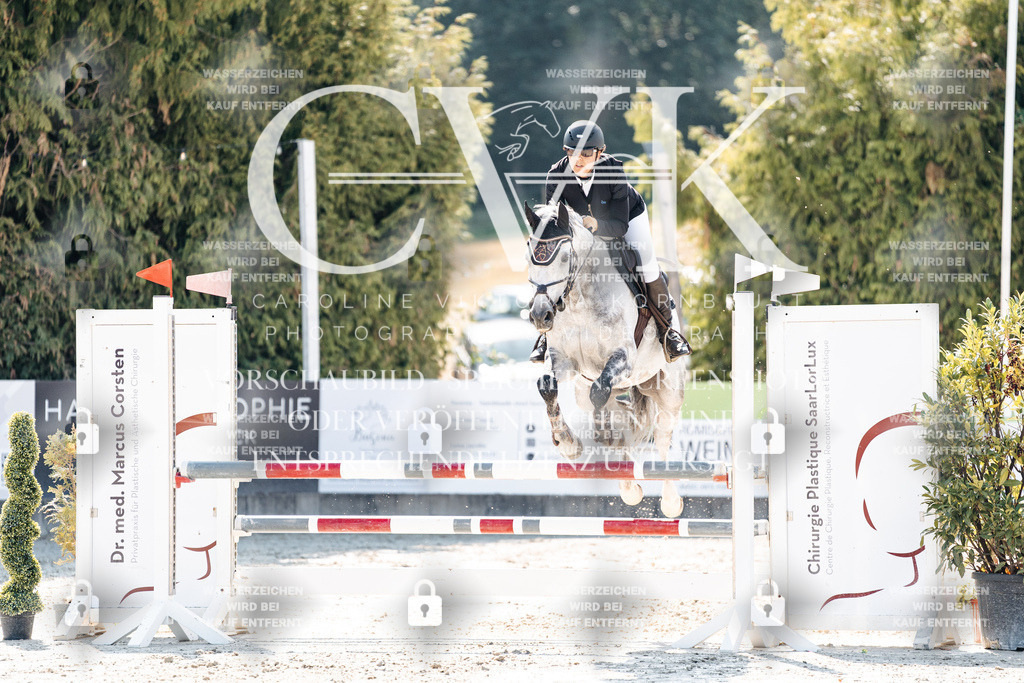 CK908191 | Turnierfotografie Pferdefotografie Trier Rheinland-Pfalz Pferdesport Reitsport Tierfotografie Sportfotografie Pferdevideo Pferdevideografie Equestrianvideography equestrianphotography  - Realisiert mit Pictrs.com
