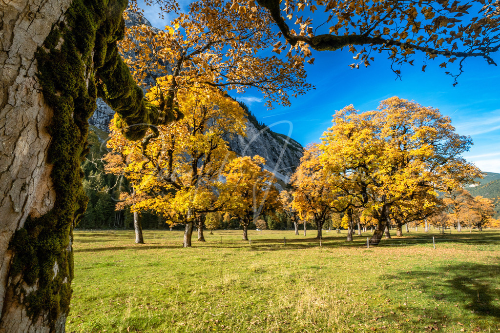 Ahornboden | Herbst im Karwendel
