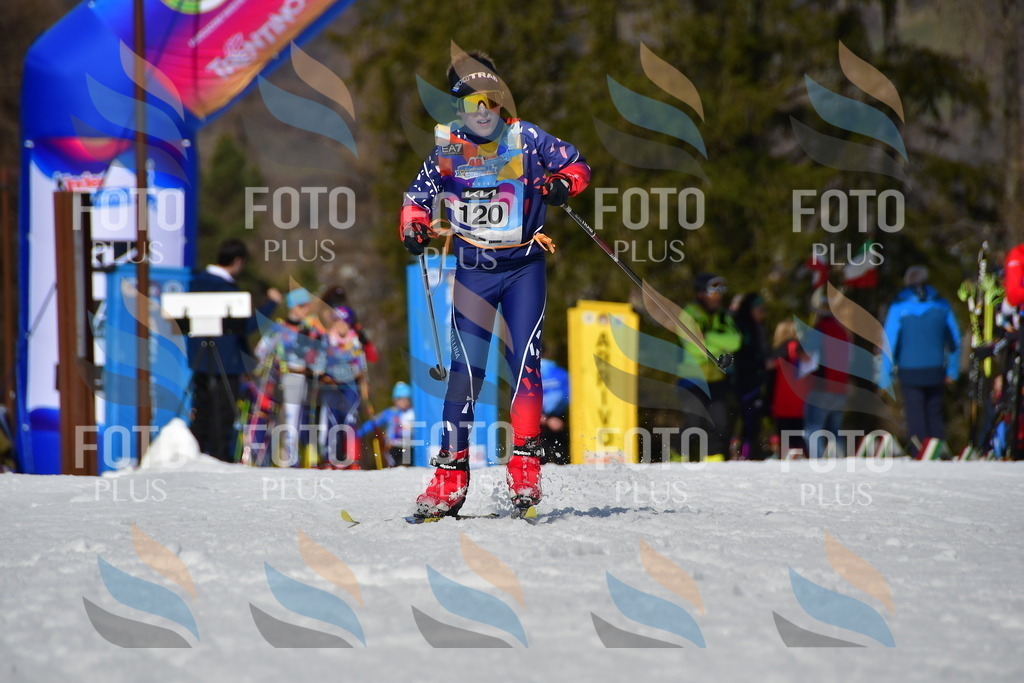 _DSC0073 | holidayphoto