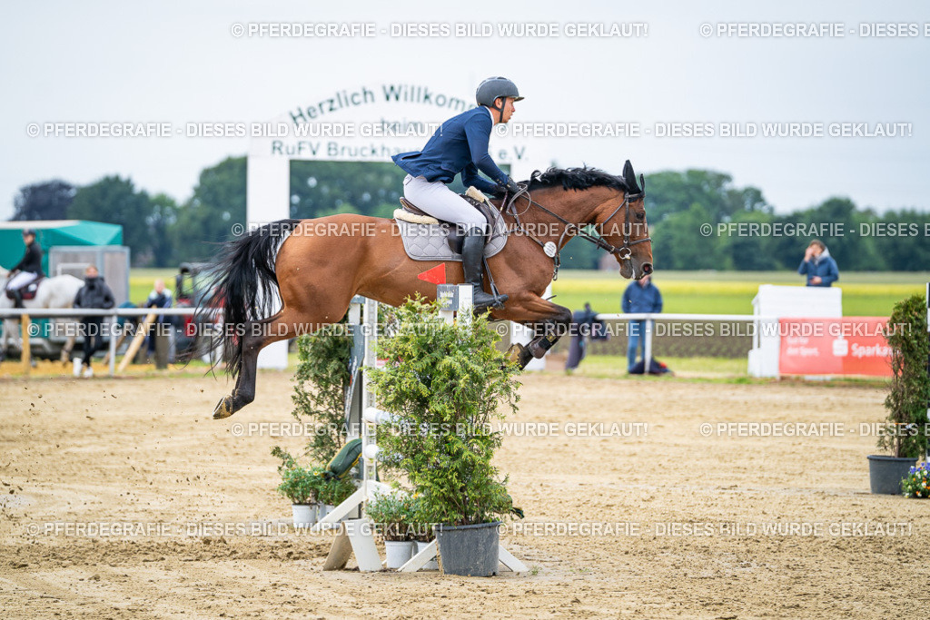 DSC05048 | Pferdegrafie